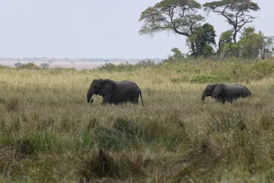 DSC_3605 (Large).JPG